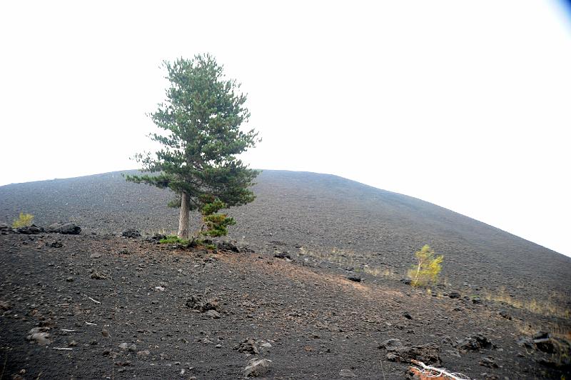 Etna Acquanuvena 3.10.2010 (188).jpg